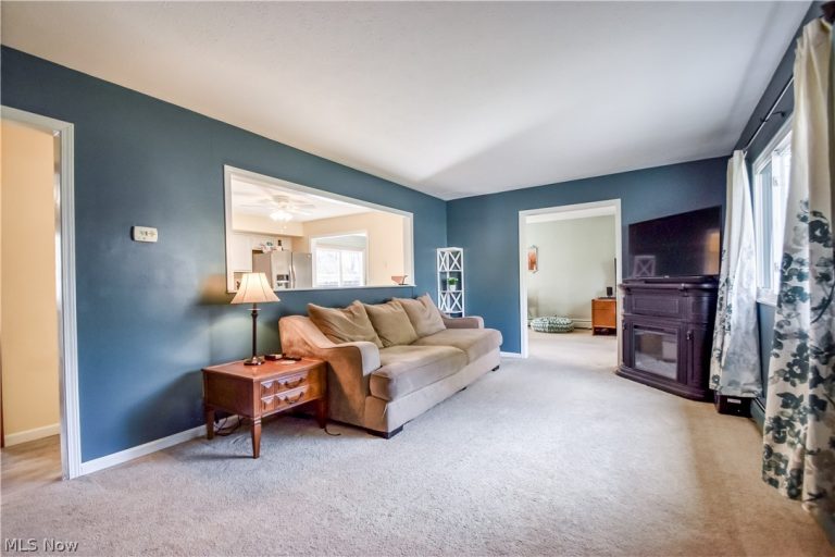 9925 Aldridge Drive, Columbia Station, OH - Photo 8