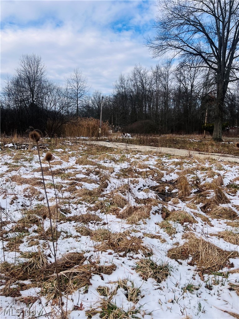 8670 Fortney Road, Orwell, OH - Photo 2