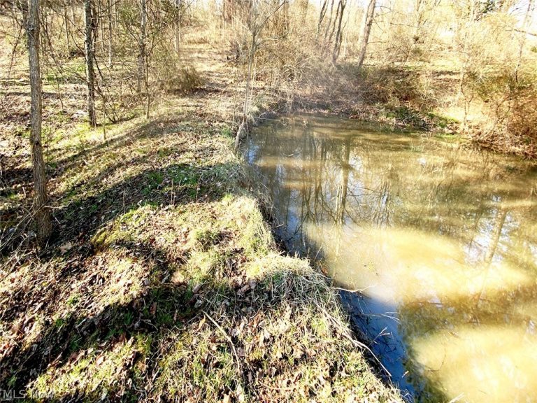 Twp Rd 318 Road, Dexter City, OH - Photo 2