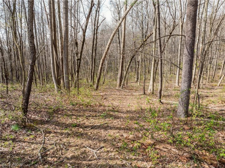 Township Rd 389, Frazeysburg, OH - Photo 5