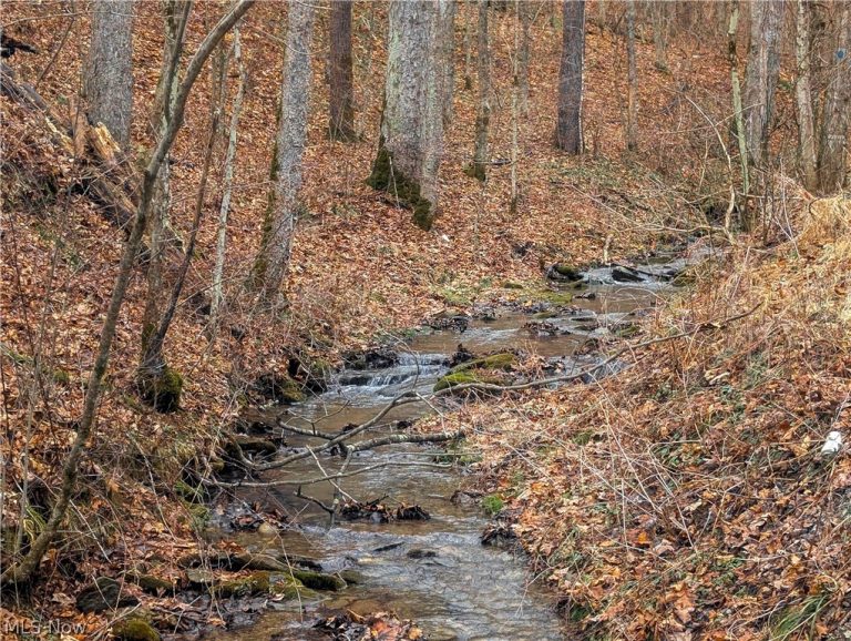 Tract 7 Edwina Road, Woodsfield, OH - Photo 4