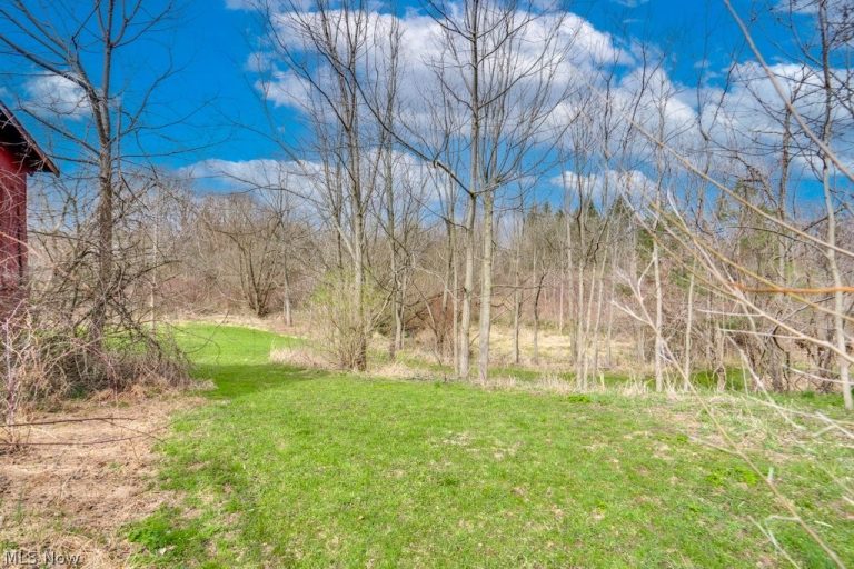 1846 Lester Road, Valley City, OH - Photo 6