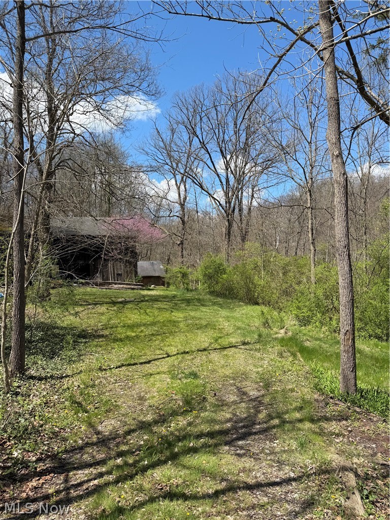 2615 Yellow Creek Road, Akron, OH - Photo 4
