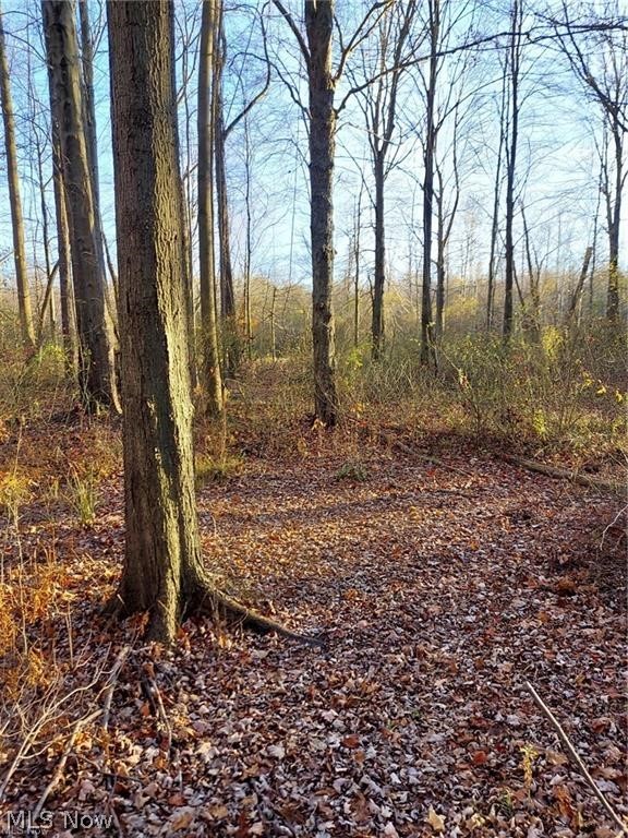 Magnolia Drive #3, Madison, OH - Photo 6