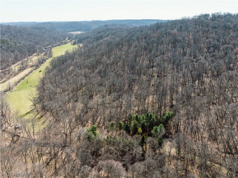 Township Road 34, Killbuck, OH, 44637