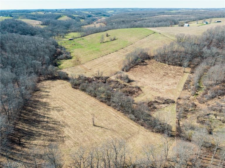 Eckley Road, Jewett, OH, 43986