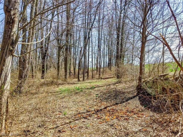 17805 Early Cemetary Road, Kimbolton, OH - Photo 6