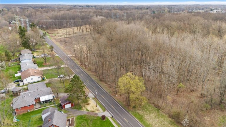 V/L Chestnut Ridge Road, North Ridgeville, OH - Photo 4