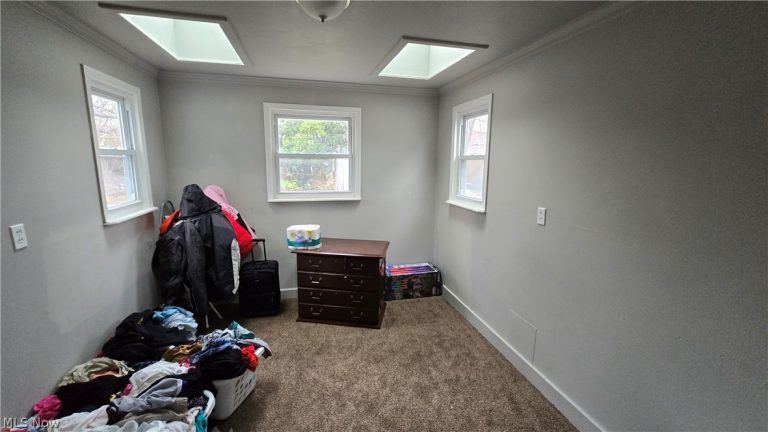 11105 Revere Avenue, Cleveland, OH - Photo 8