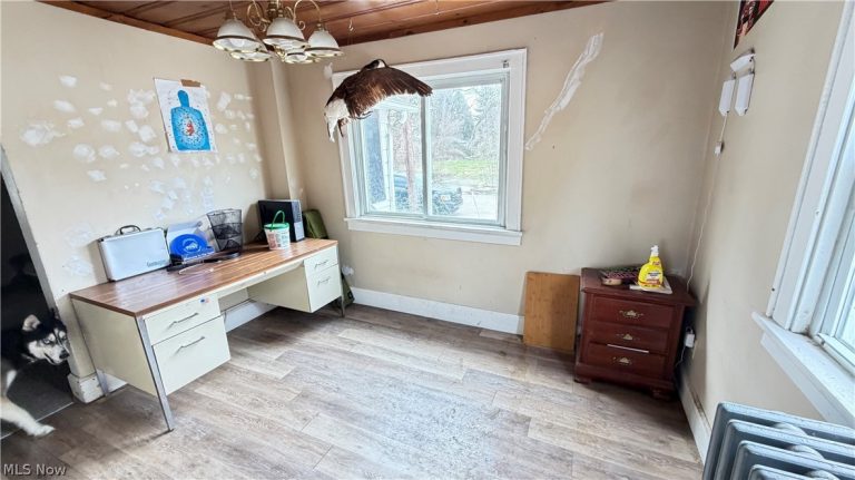 1333 Kellogg Avenue, Akron, OH - Photo 8