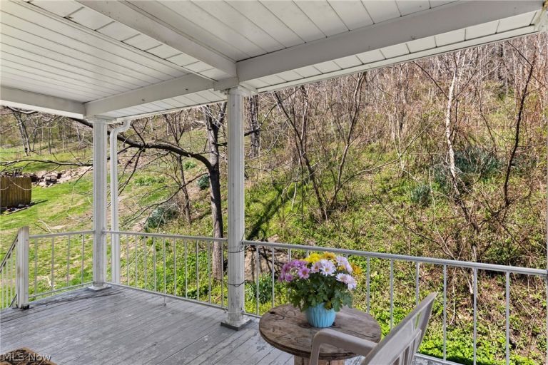 329 Township Road 177, Mingo Junction, OH - Photo 4
