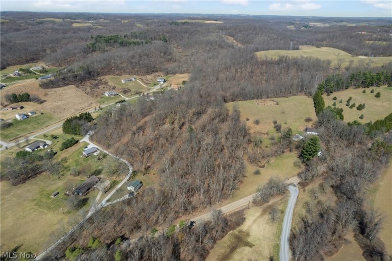 Boy Scout Road, Dover, OH - Photo 3