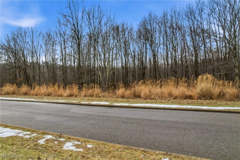 Lakeview Drive, Hubbard, OH - Photo 3