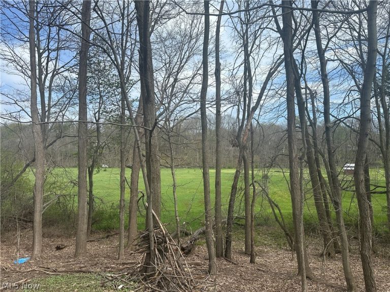 V/L Newton Drive, Wadsworth, OH - Photo 8