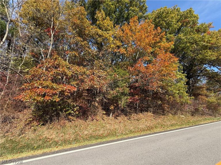 State Route 646, Richmond, OH - Photo 2