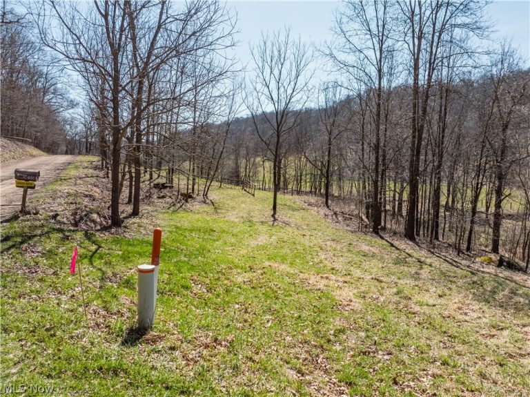 Township Road 34, Killbuck, OH - Photo 2