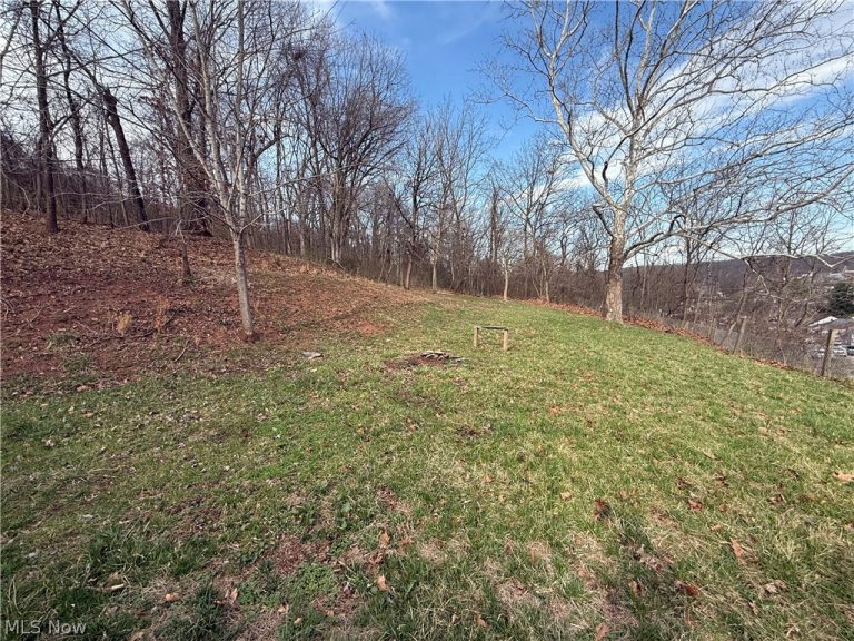 1006 Myrtle Street, Parkersburg, WV - Photo 4