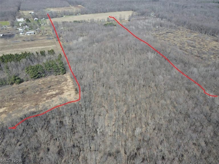 V/L White Road, Rock Creek, OH - Photo 8