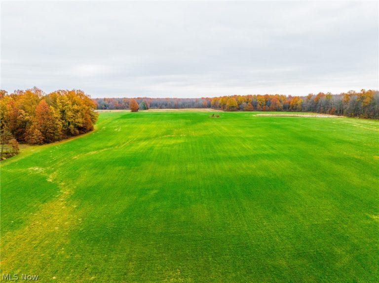 Mahan Denman Road, Bristolville, OH - Photo 8