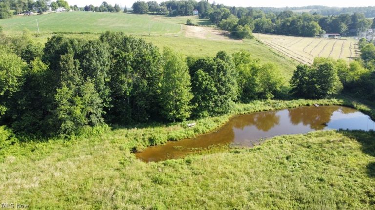 15150 Smith Road, Wellsville, OH - Photo 5