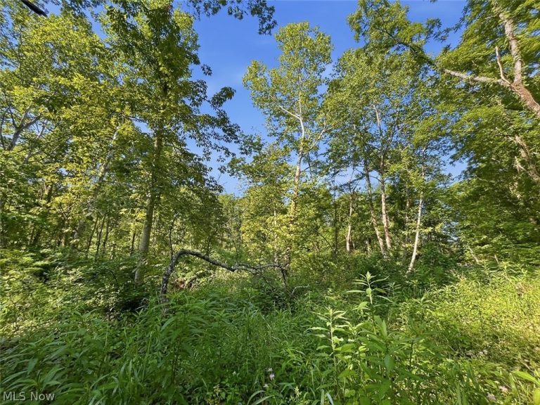 State Route 155, Corning, OH - Photo 2