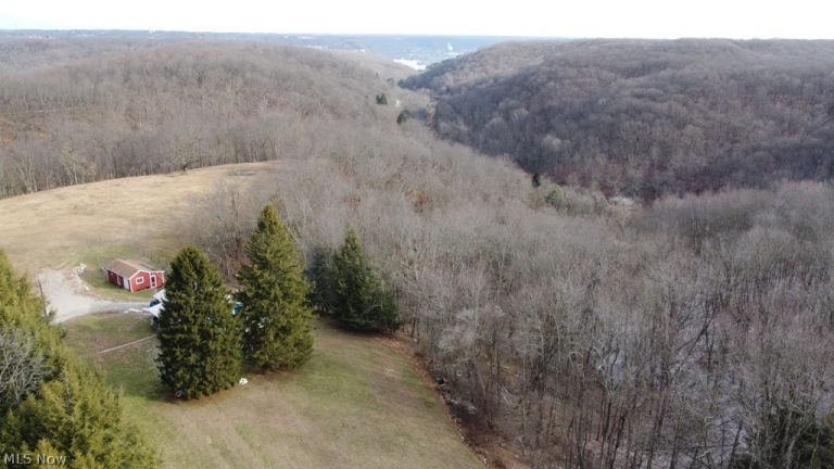 2659 Sixth Street, New Cumberland, WV - Photo 5