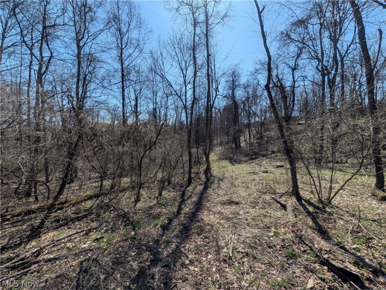 Township Road 289, Hammondsville, OH - Photo 2