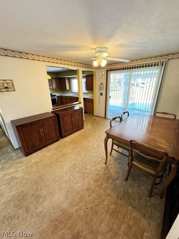 33562 Bainbridge Road, North Ridgeville, OH - Photo 6