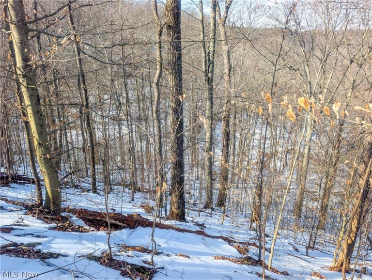 0 Tract 16 Ch 59, Cutler, OH - Photo 8