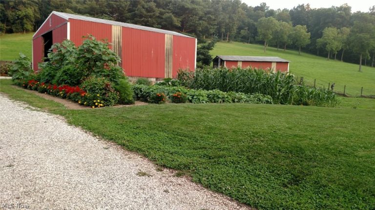 343 County Road 343, Warsaw, OH - Photo 4