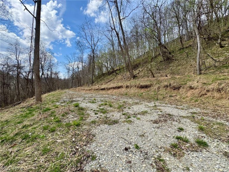1536 Jakes Fork Road, Arnoldsburg, WV - Photo 4