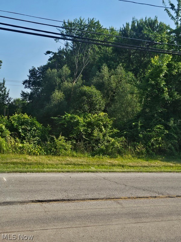 Carpenter 19th Road, Ashtabula, OH - Photo 3