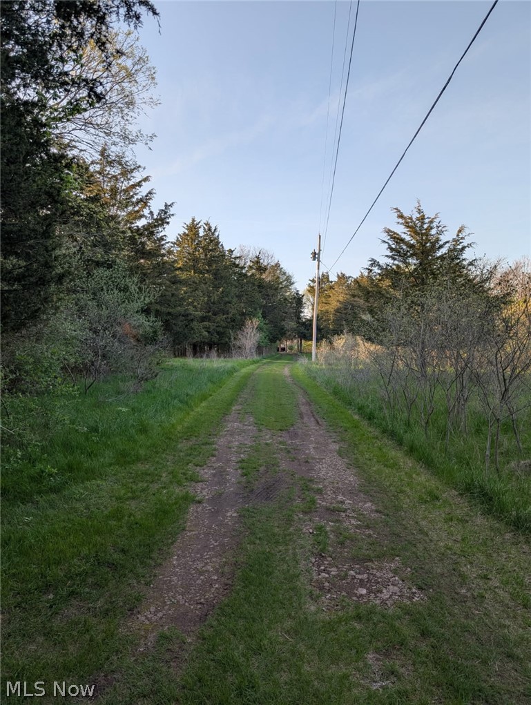 115 Beech Street, Kelleys Island, OH - Photo 5