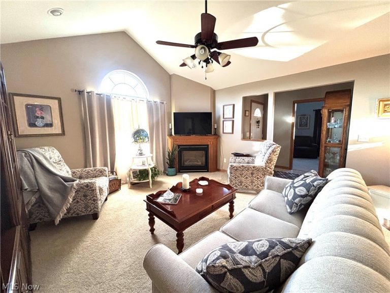 147 Village Court, Columbiana, OH - Photo 8
