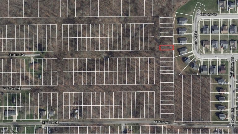 2051 Blair Avenue, Youngstown, OH - Photo 2