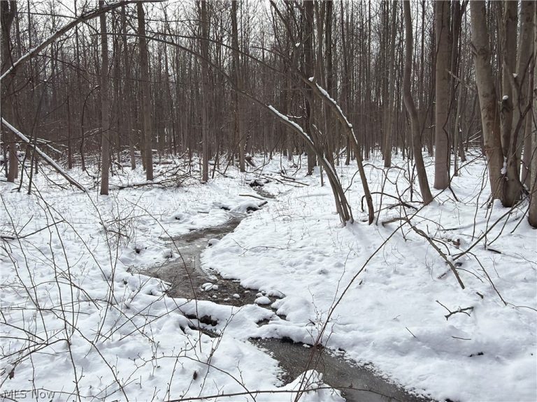 Munson Hill Road, Ashtabula, OH - Photo 4