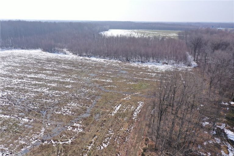 Adams Road, Kingsville, OH - Photo 2