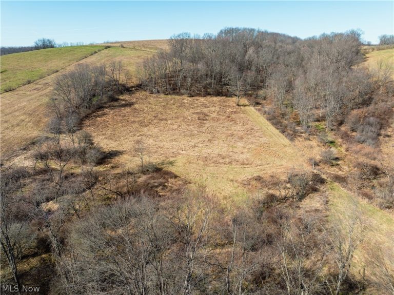 Eckley Road, Jewett, OH - Photo 6