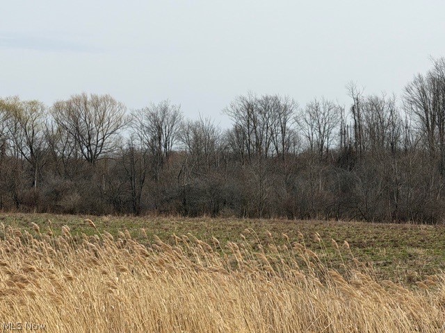 Madison Road, Madison, OH - Photo 2