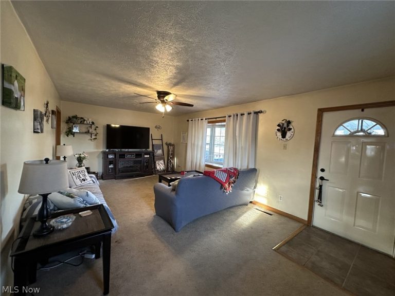 53562 High Ridge Road, Bridgeport, OH - Photo 5