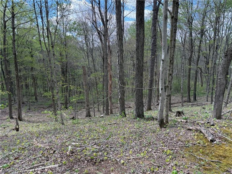 Plainview Road, Woodsfield, OH - Photo 3
