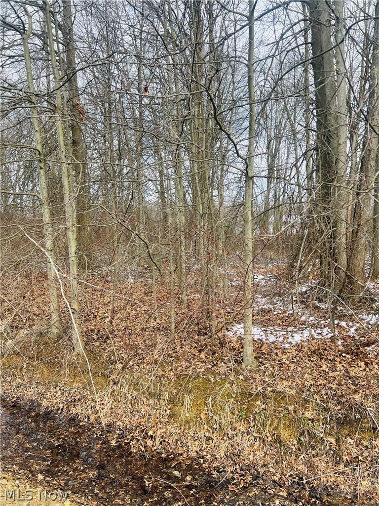 Lot 113 Breezewood Lane, Orwell, OH, 44076