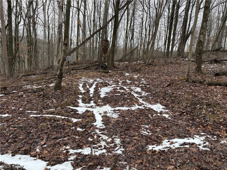 Tract 4 Twp Rd 815, Woodsfield, OH - Photo 6