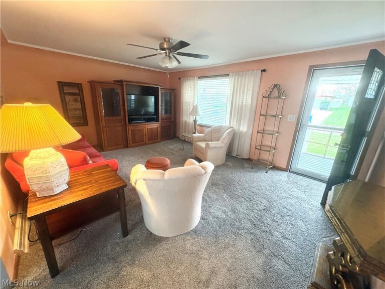 511 Edison Street, Struthers, OH - Photo 4