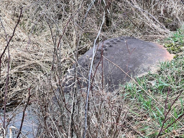 Johnson Bethel Road, Barnesville, OH - Photo 4