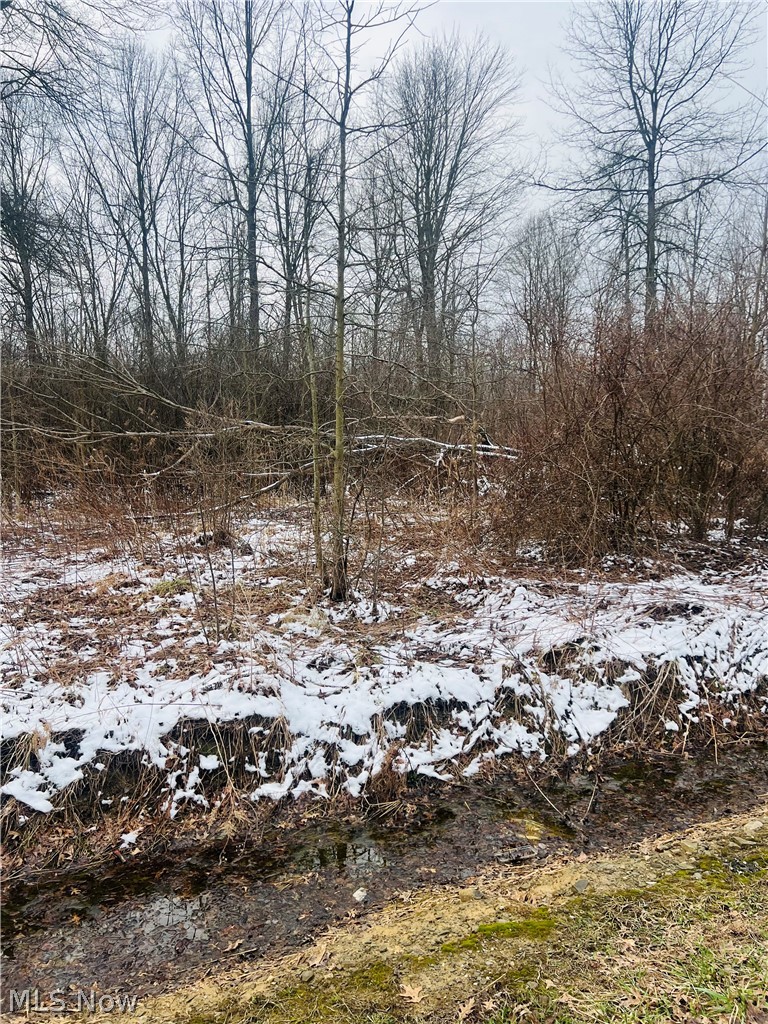 Lot 134 Breezewood Lane, Orwell, OH - Photo 2