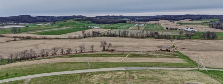 10316 Lower Trail Road, Dundee, OH - Photo 8