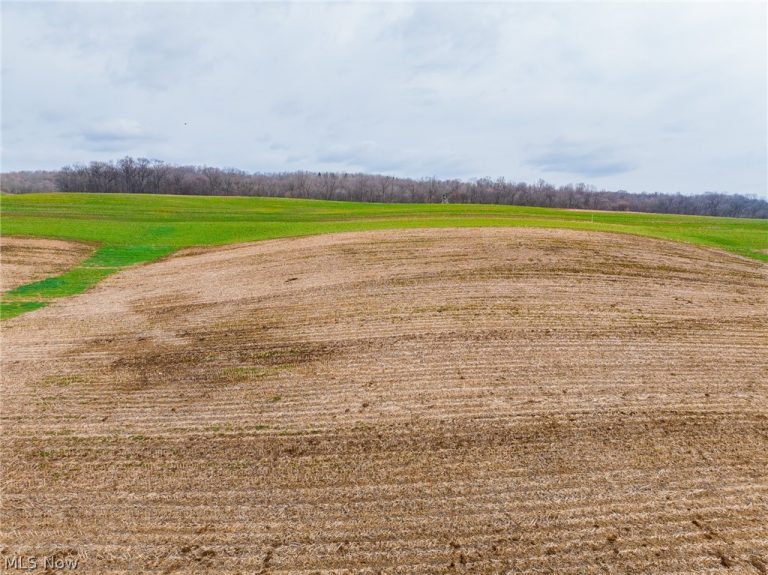 N American Road, Dover, OH - Photo 6