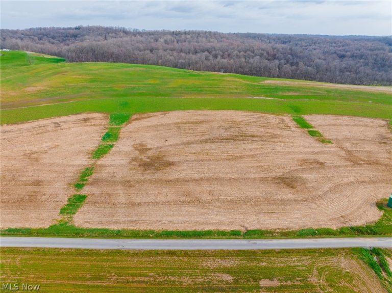 N American Road, Dover, OH - Photo 2