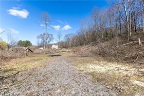 909 Lisbon Road, Salem, OH - Photo 3